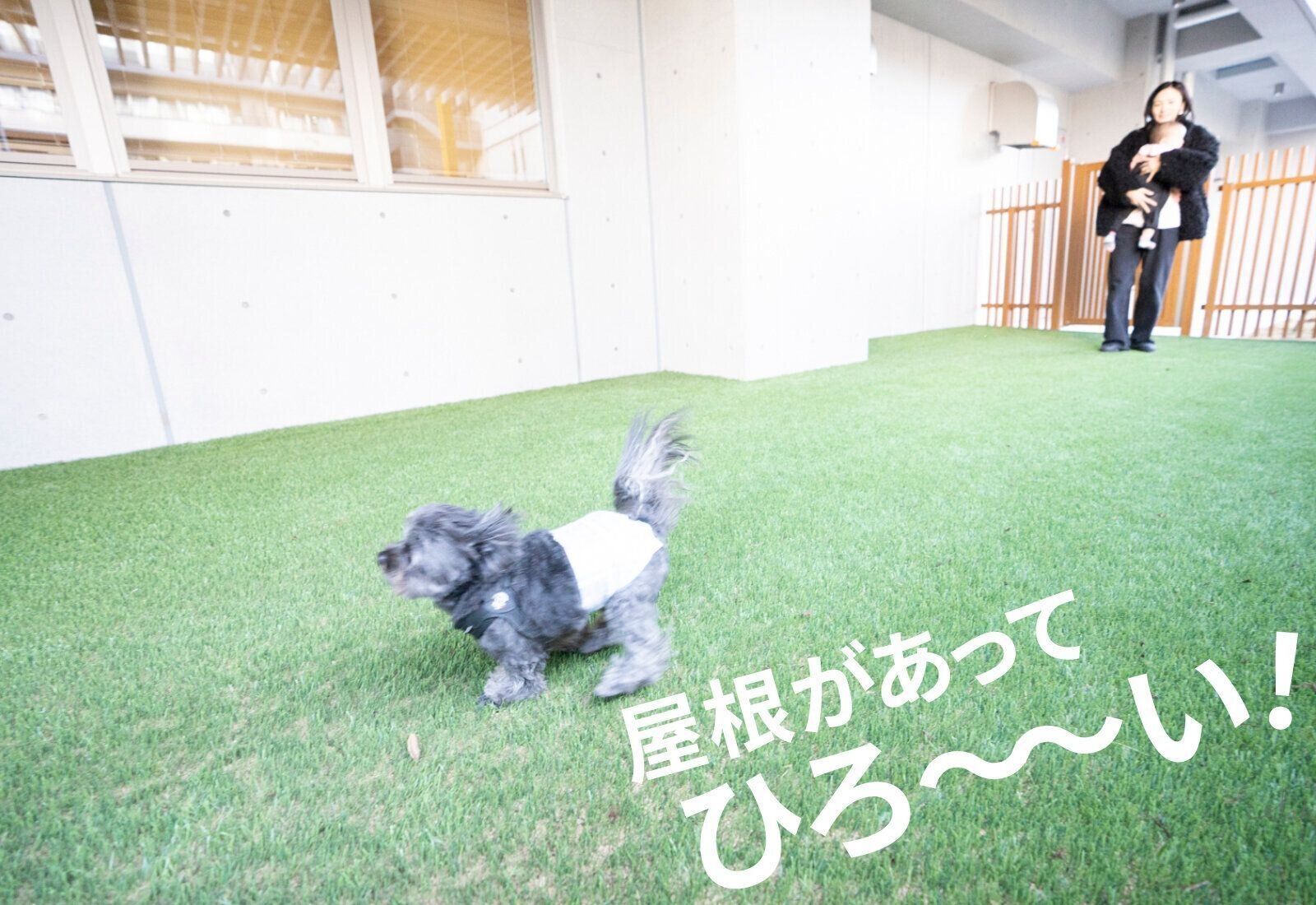 フジタ　大和リビング　リーラ横浜川和町　月次健診　犬猫合わせて4頭　マンション　賃貸マンション　いぬのきもち　いぬ　屋内ドッグラン