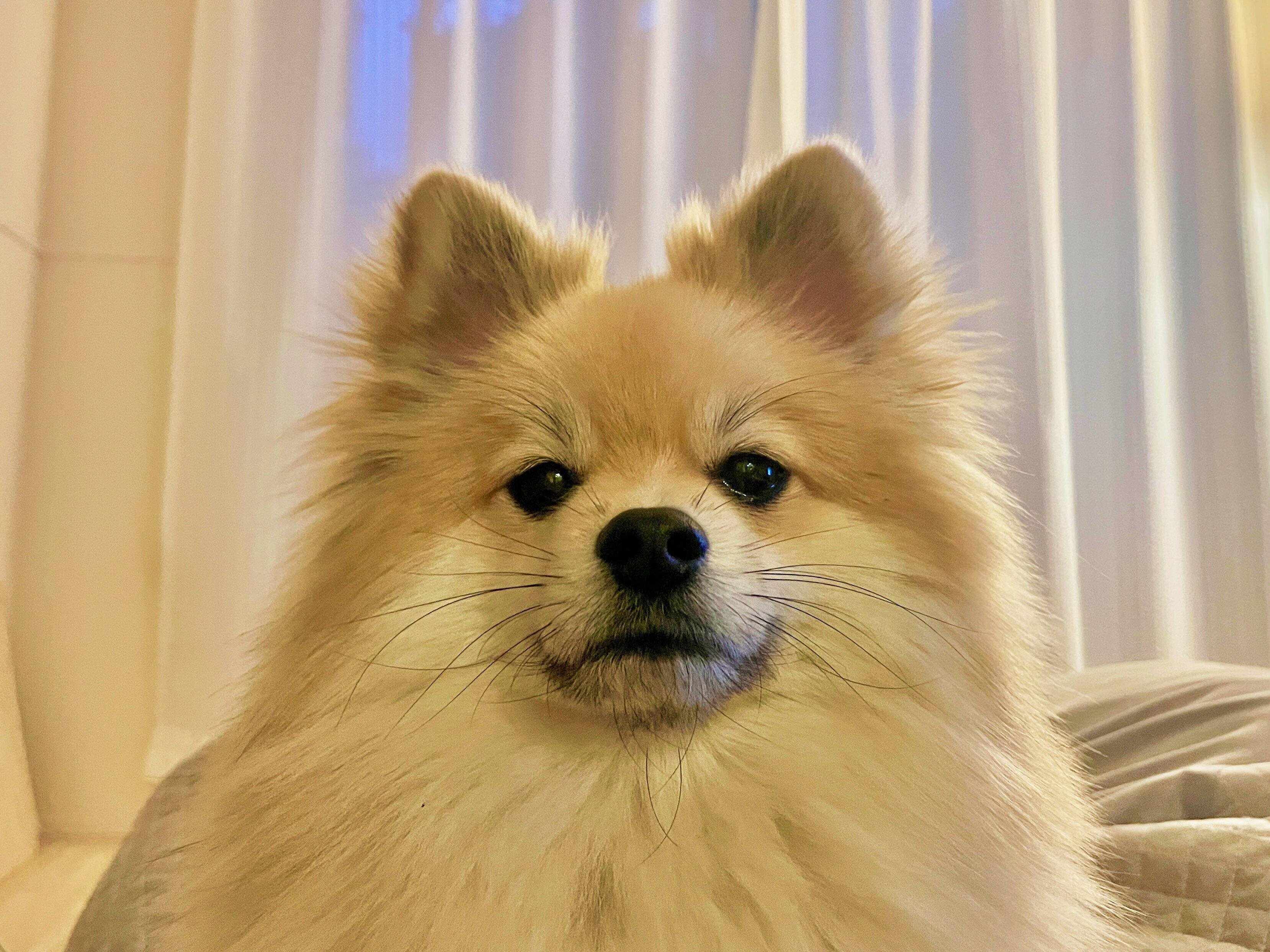 見つめるうる吉くん