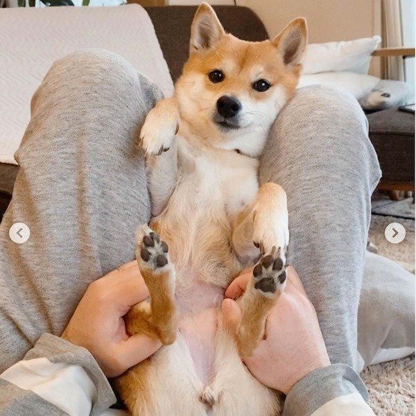 まんざらでもない表情のにこちゃん