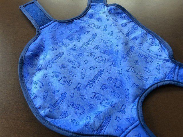 濡らしたひんやりベスト