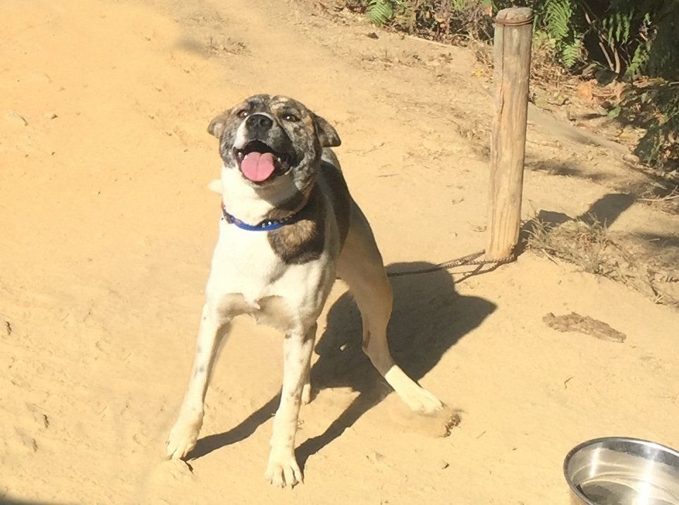 ↑求める姿が変われば、教える内容も変わるべきですが……