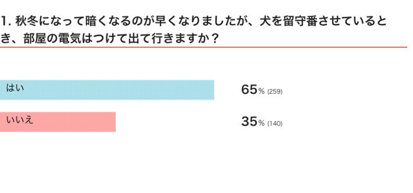 冬の時期 犬の留守番時は 部屋の電気をつける派 つけない派 多数派だったのは いぬのきもちweb Magazine 冬の時期 犬の留守番時は 部屋の電気をつける派 つけない派 多数派だったのは いぬのきもちweb Magazine