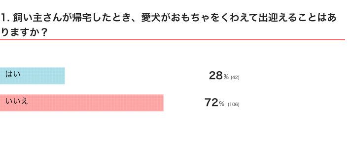 飼い主さんが帰宅したとき、愛犬がおもちゃをくわえて出迎えることはある？