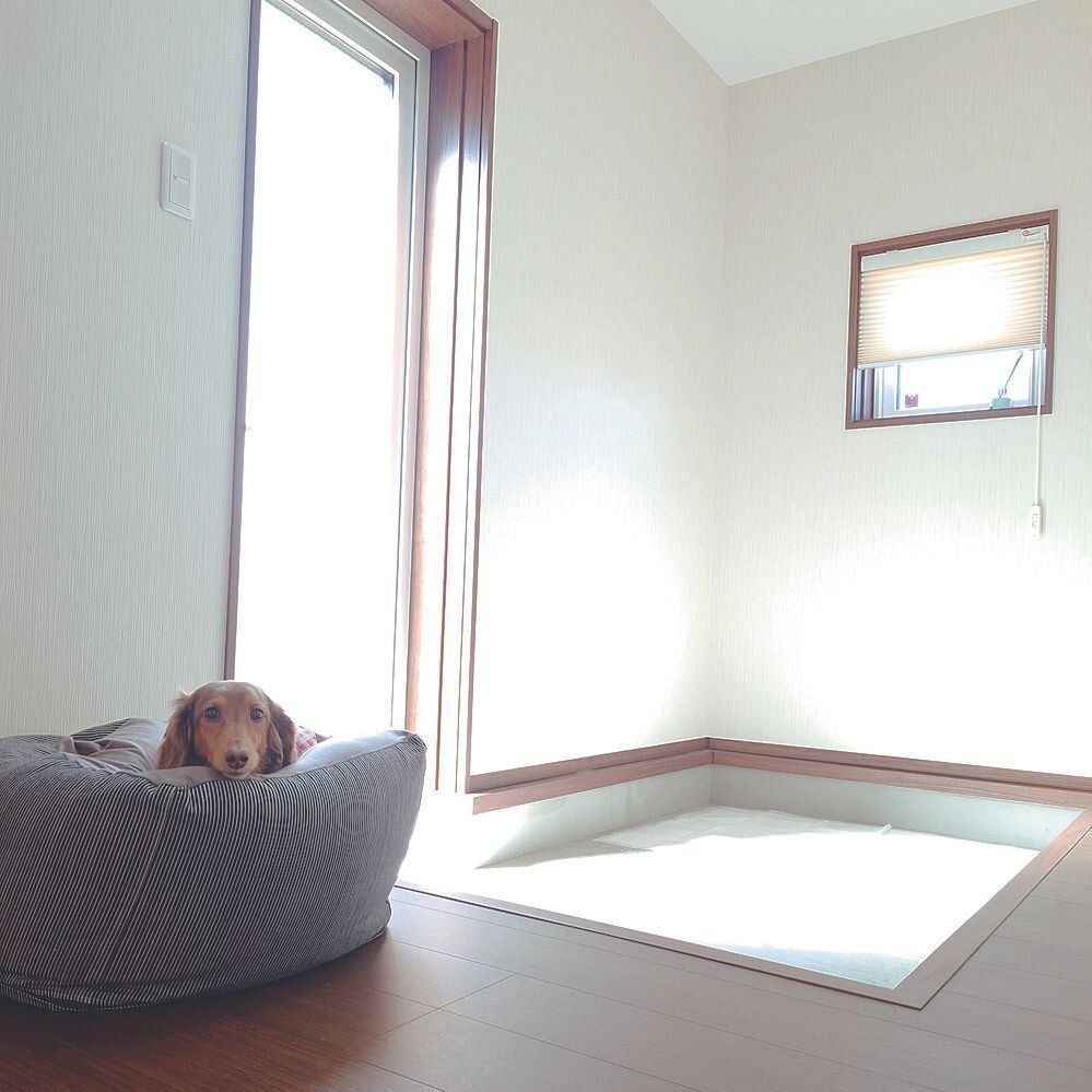 3才から14才のミニチュア・ダックスフンド４頭と暮らすAさんのお宅