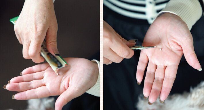 撮影／尾﨑たまき