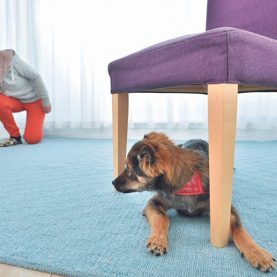 撮影／佐藤正之