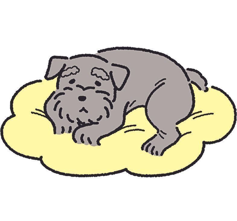 犬が階段を嫌がる 散歩を嫌がる もしかしたら 慢性痛 のサインかも いぬのきもちweb Magazine