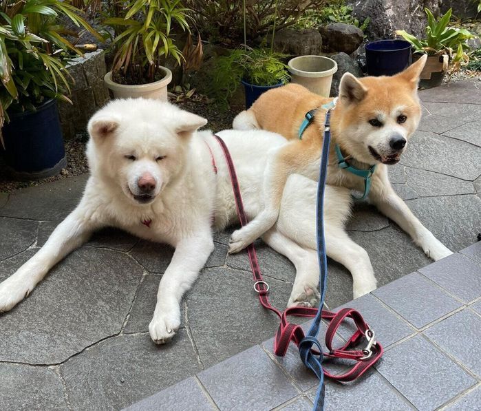 帰宅拒否中の大地くん、そらちゃん