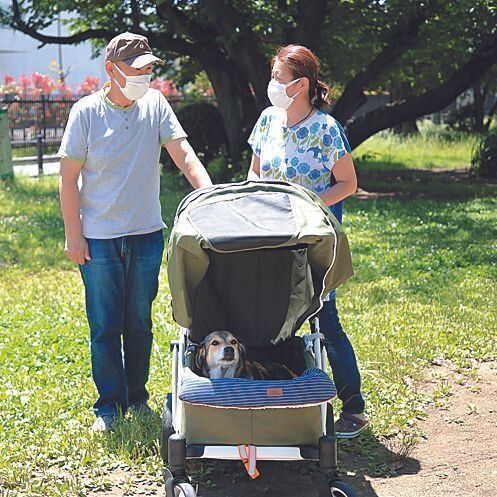 さんごちゃんを心から愛するKさんご夫妻。お二人の団結力と強い愛情がさんごちゃんを見事に復活させました