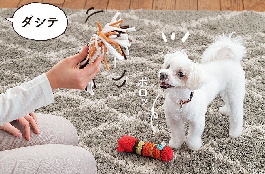 遊びながら覚えさせよう