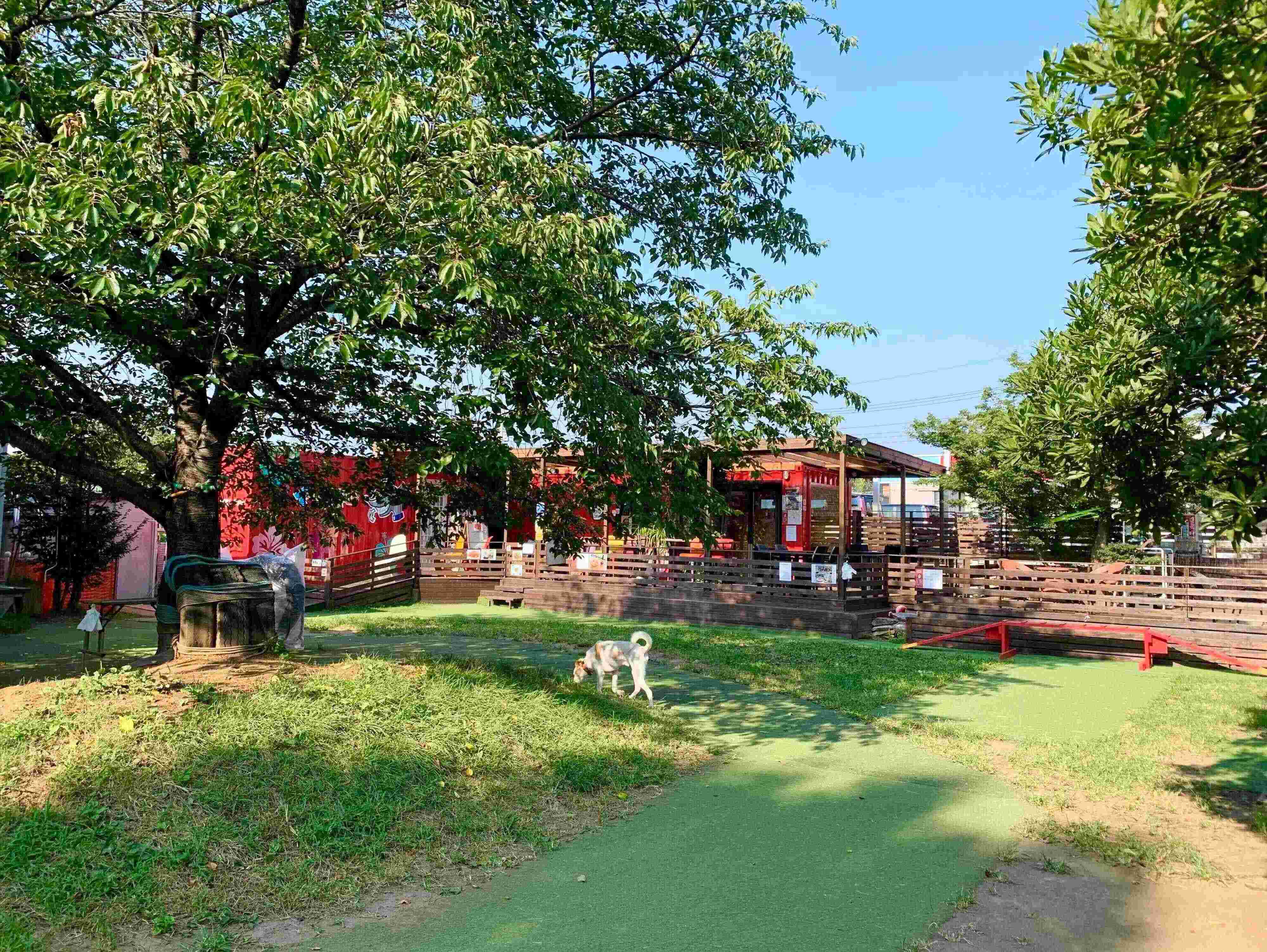 緑に包まれたドッグラン