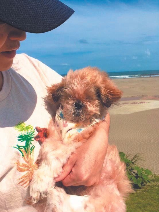 ポテトちゃん（推定20才）は、劣悪な環境により両目を失いました。うささんが自宅でスタッフとともにお世話をしています