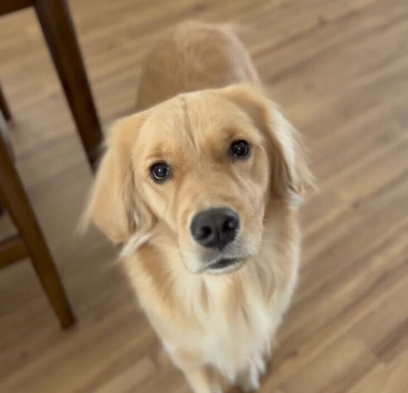 お風呂は嫌だな と尻込みしていた犬 おやつにつられてあっさり入室してしまう いぬのきもちweb Magazine お風呂は嫌だな と尻込みしていた犬 おやつにつられてあっさり入室してしまう いぬのきもちweb Magazine