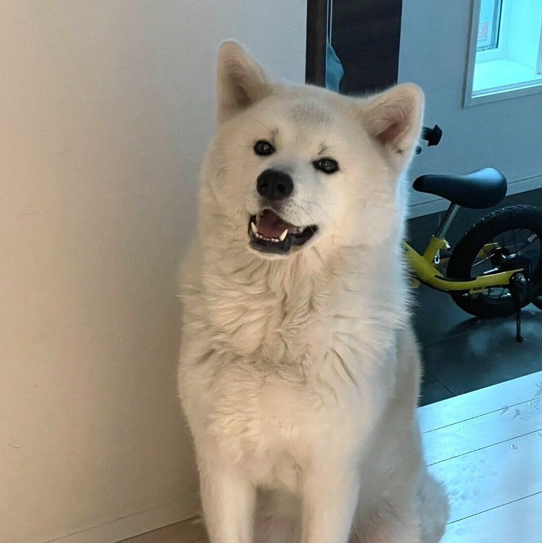 笑顔が可愛い凛太郎くん