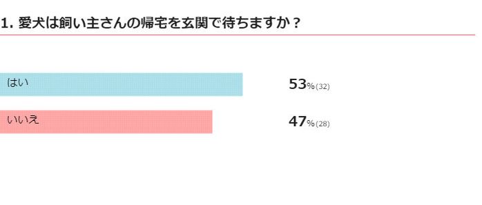 愛犬は飼い主さんの帰宅を玄関で待ちますか?