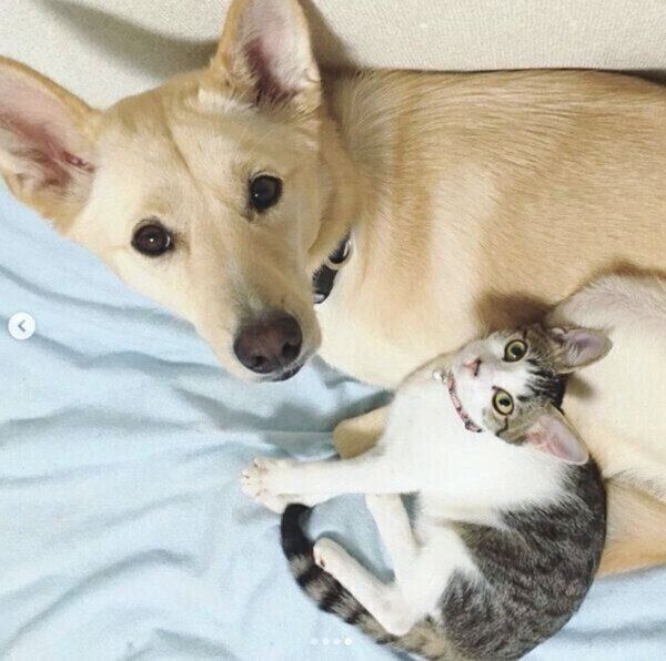 見つめるくるりちゃん、ななちゃん