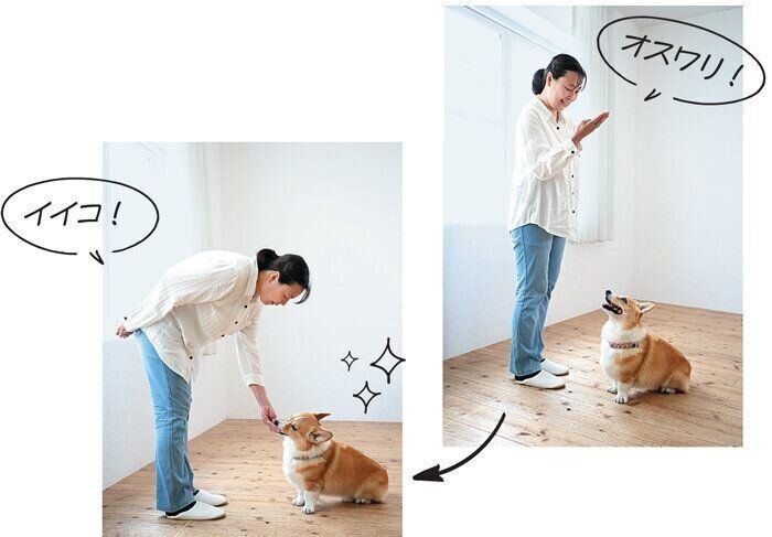 飼い主さんからおやつをもらう犬