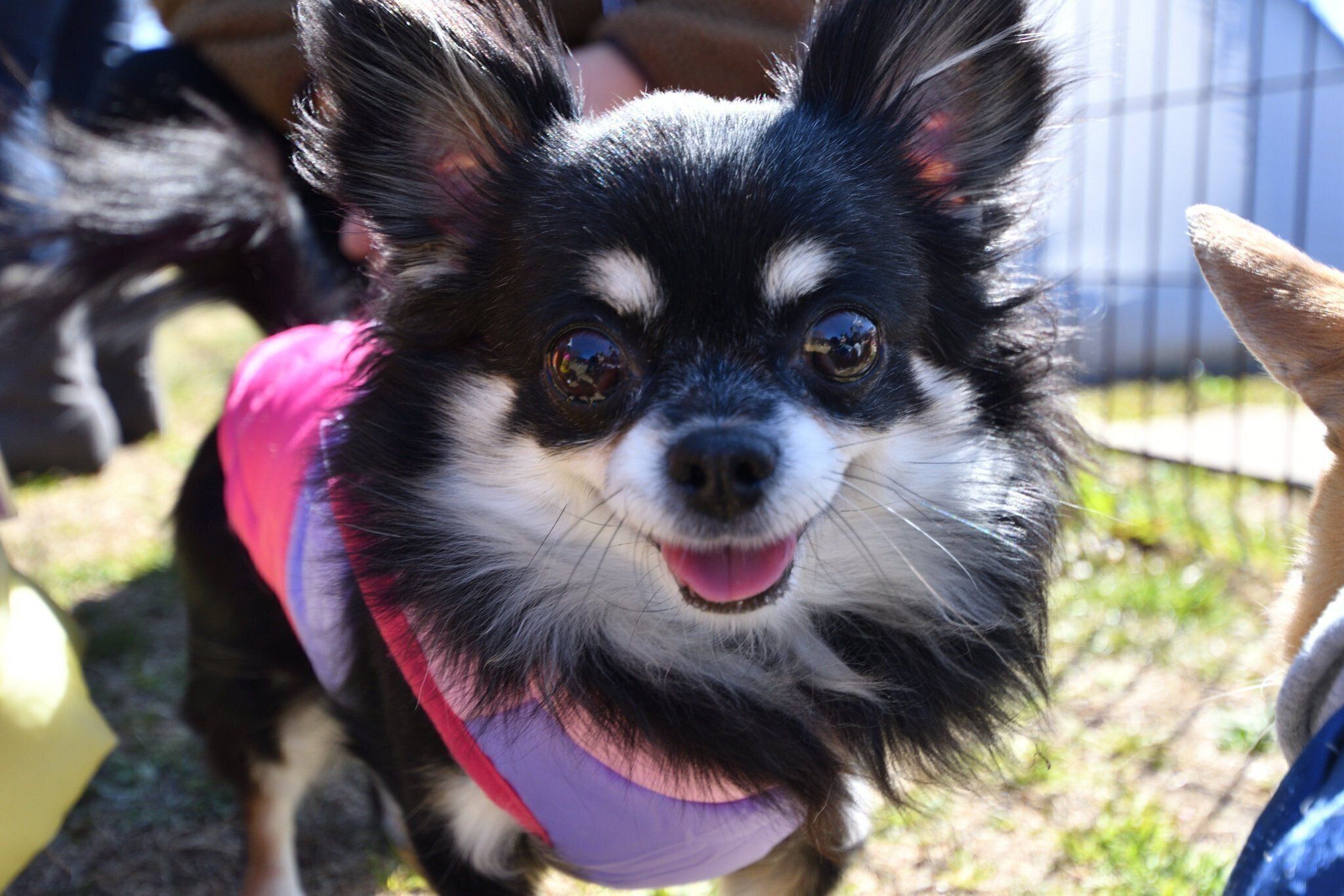 笑顔が可愛いみつ子ちゃん