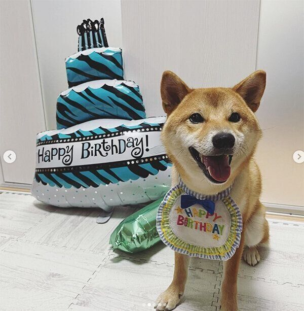 笑顔のはじめくん