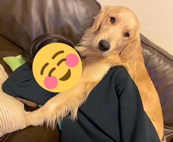 甘えるまるくん