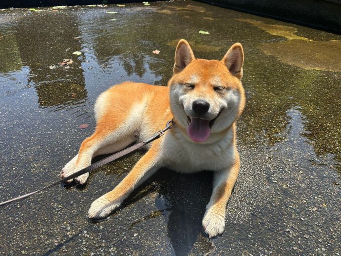 涼しくて気持ちいい!