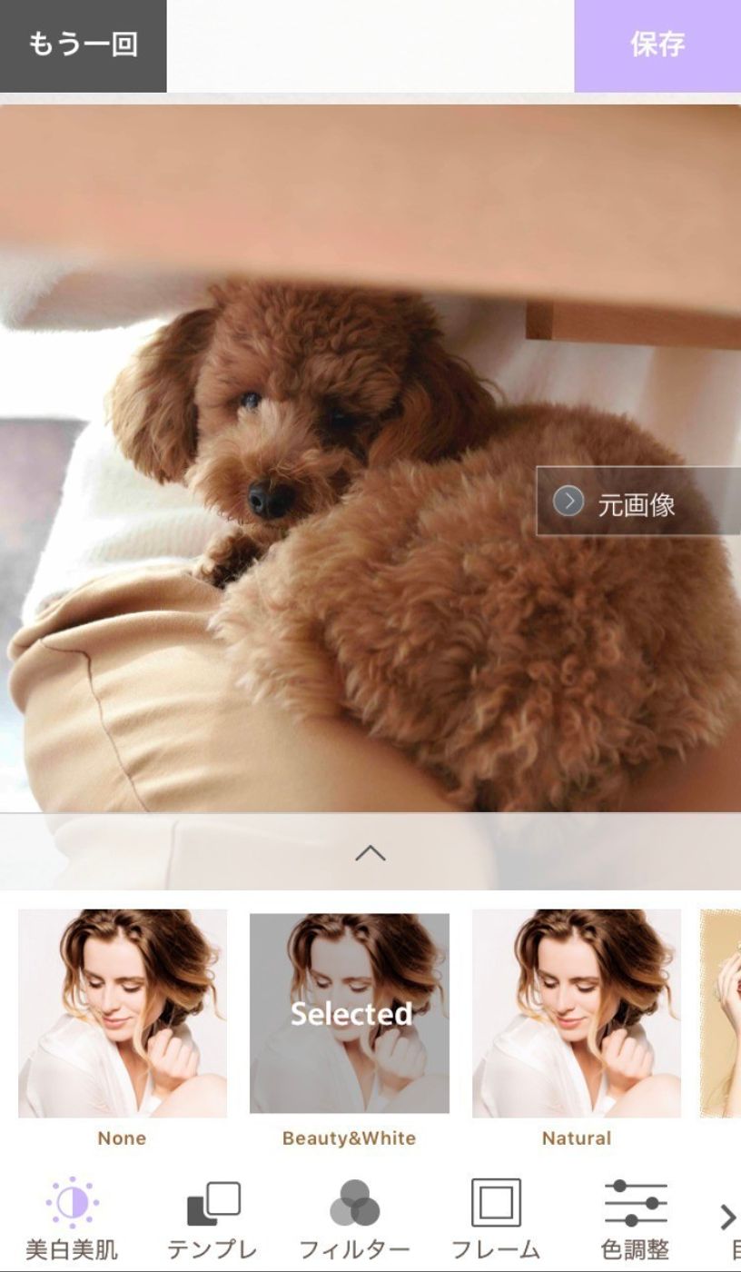 Ios向け 愛犬の写真をもっとオシャレに おすすめ無料アプリ5選 いぬのきもちweb Magazine Ios向け 愛犬の写真をもっとオシャレに おすすめ無料アプリ5選 いぬのきもちweb Magazine