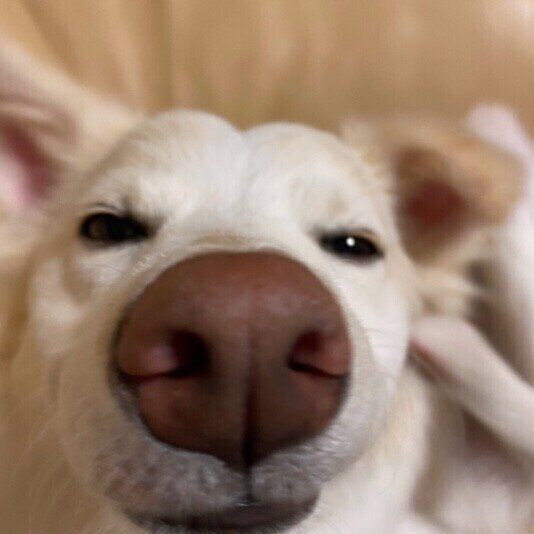 MIXの彩夢ちゃん