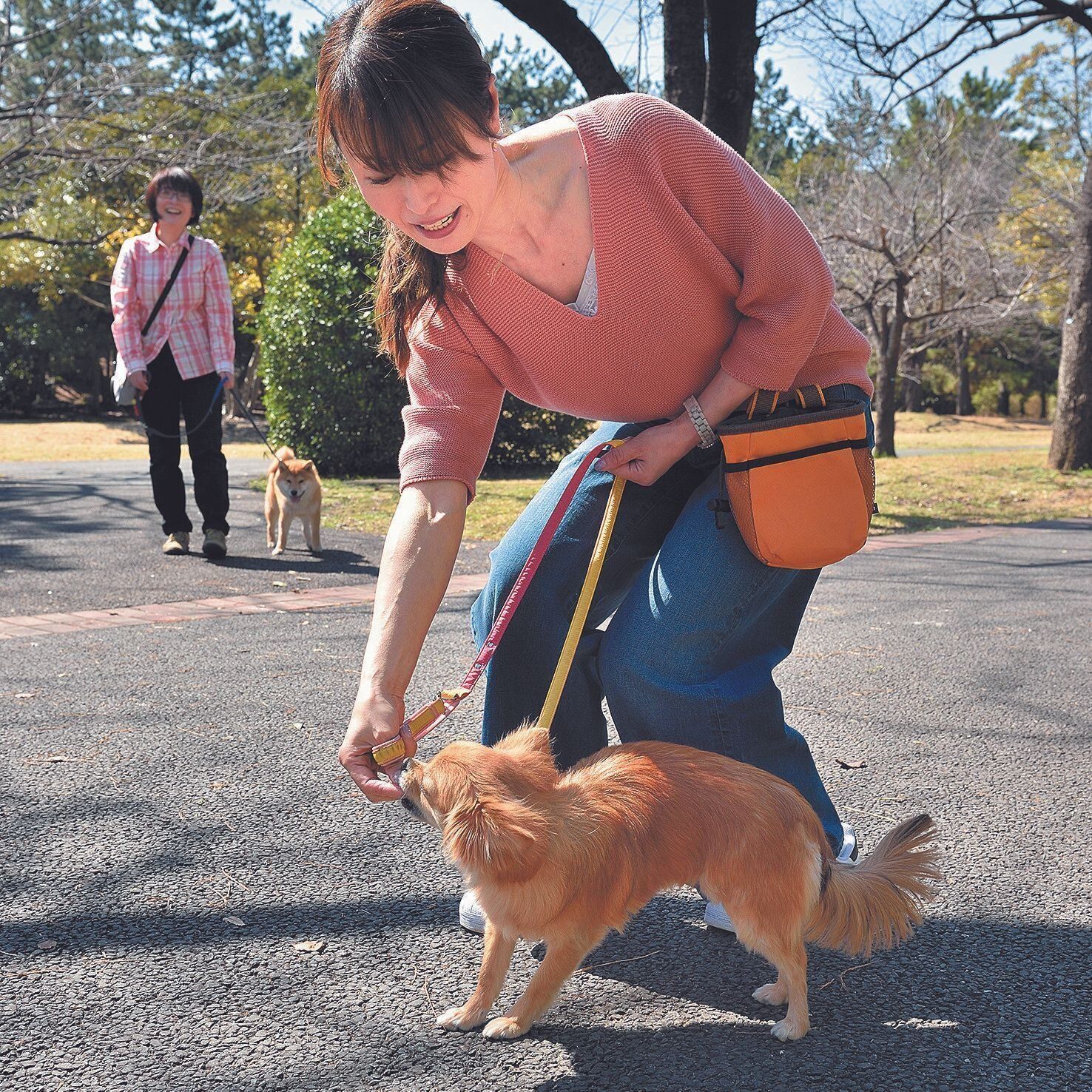 2.握りこんだおやつのニオイで愛犬がほかの犬と対面しないよう誘導します