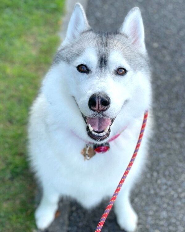 笑顔のAliceちゃん