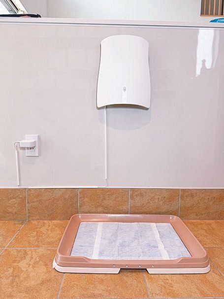 菌やウイルス抑制効果も