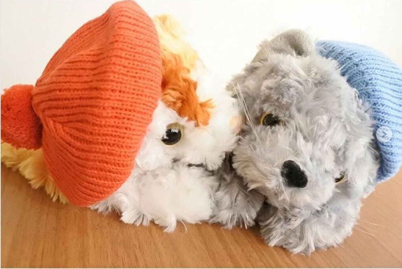 3coinsの犬用ひな祭りグッズが可愛すぎる 売り切れる前に急いで いぬのきもちweb Magazine 3coinsの犬用ひな祭りグッズが可愛すぎる 売り切れる前に急いで いぬのきもちweb Magazine