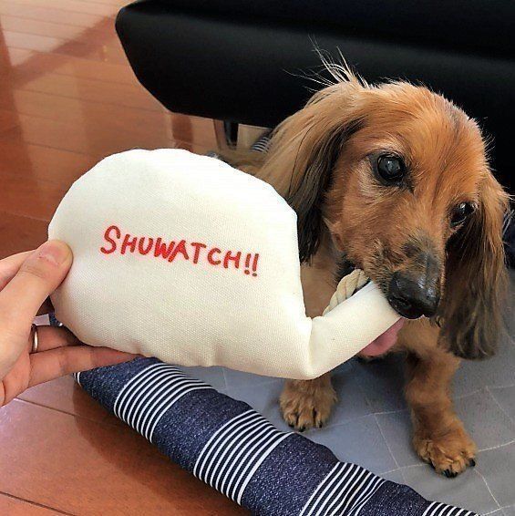 こんな写真も撮れちゃうかも？