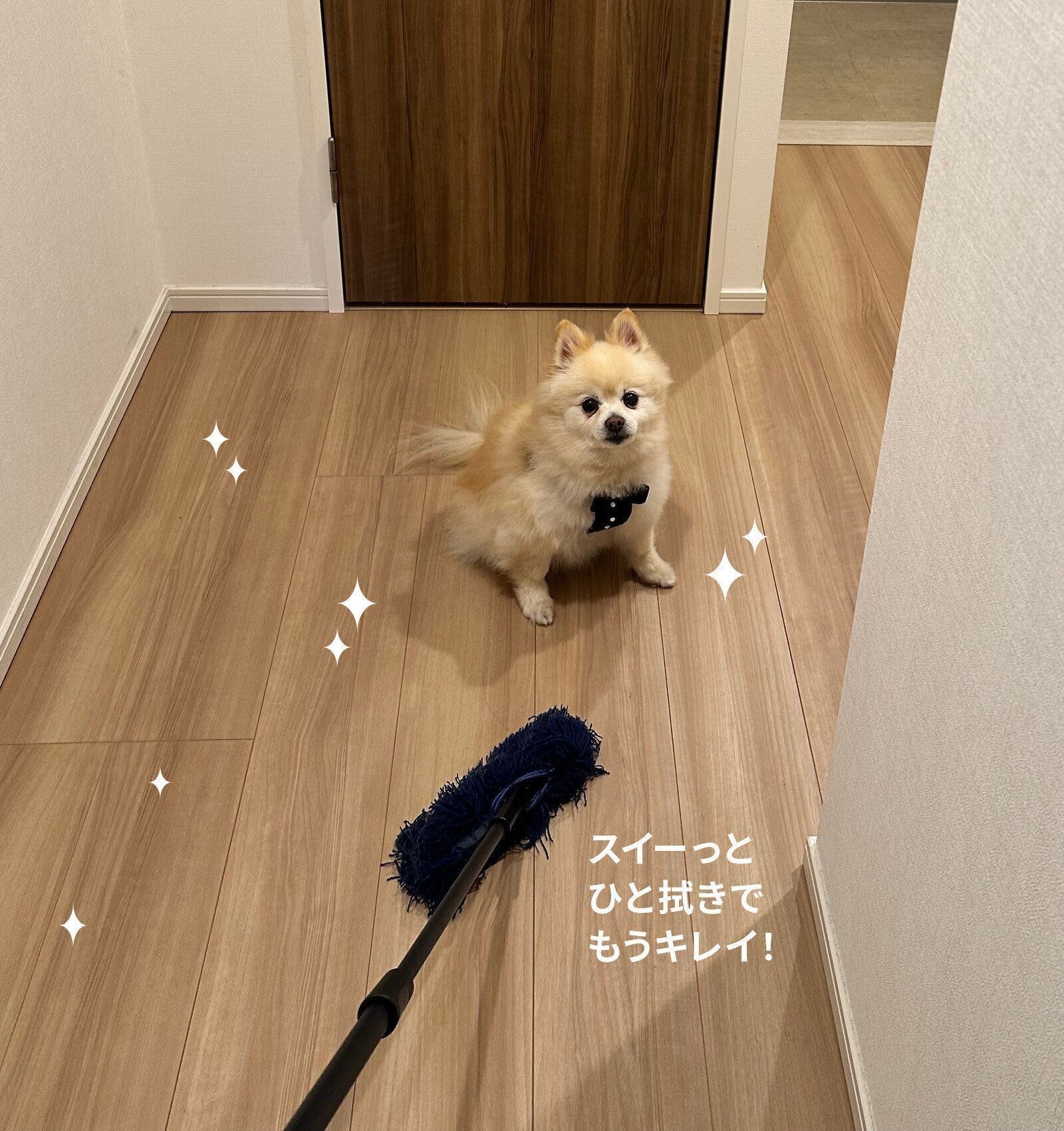 ダスキン　ペット専用モップセット　犬　抜け毛　換毛期　ペット用フロアモップ　モップクリーナー　ホコリ　フローロングの掃除