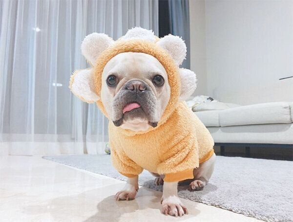 かわいい洋服を着るれおんくん