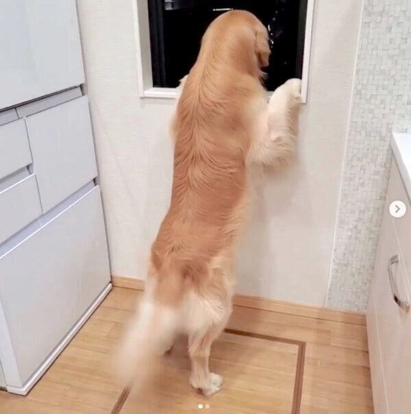 パパさんの姿を探すアランくん