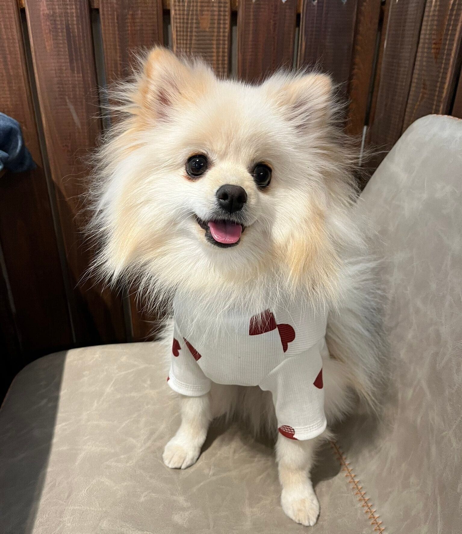 1年半後のキャラくん