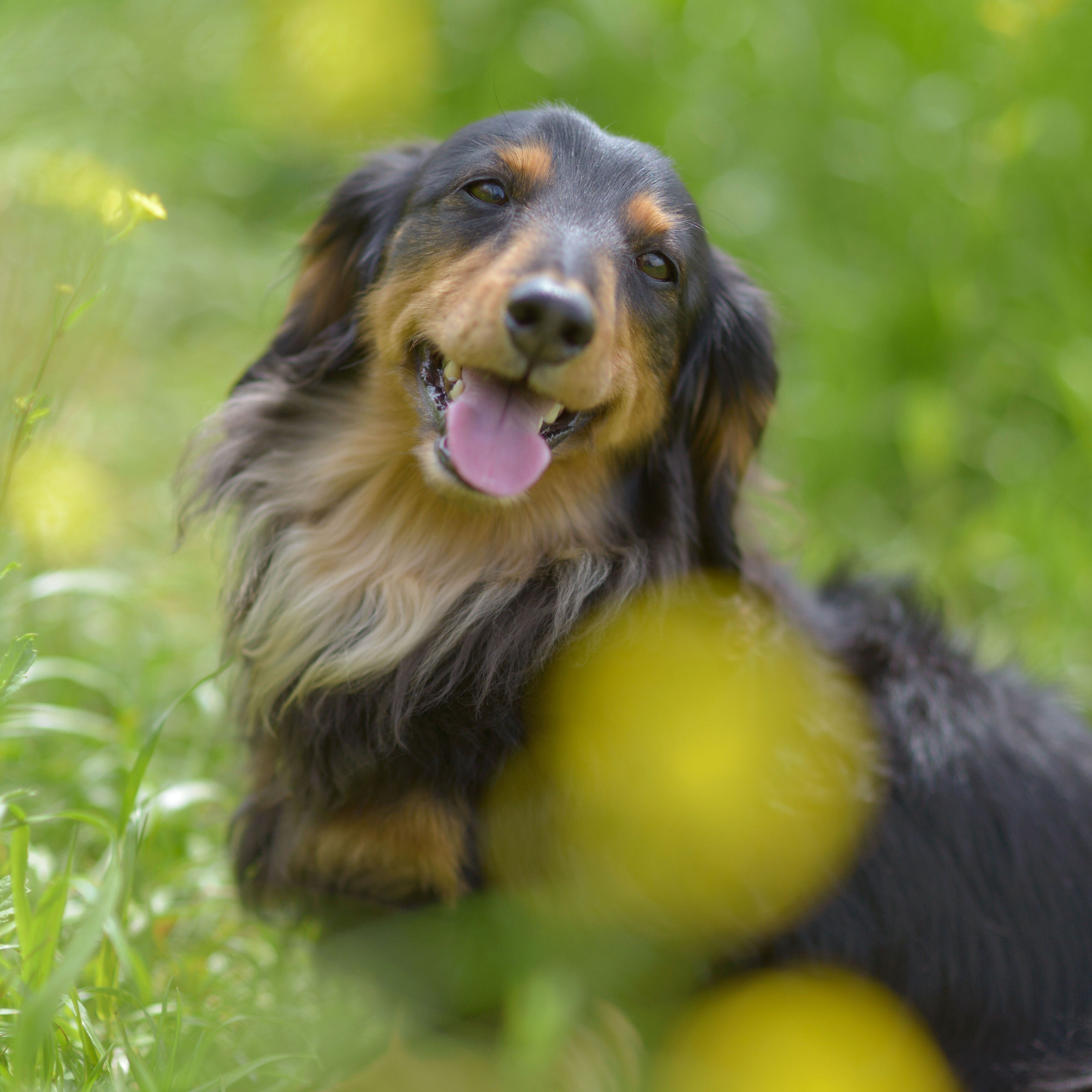 撮影／犬丸美絵