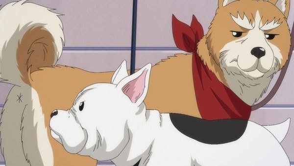 ©目黒川うな/NSP,織田シナモン信長製作委員会