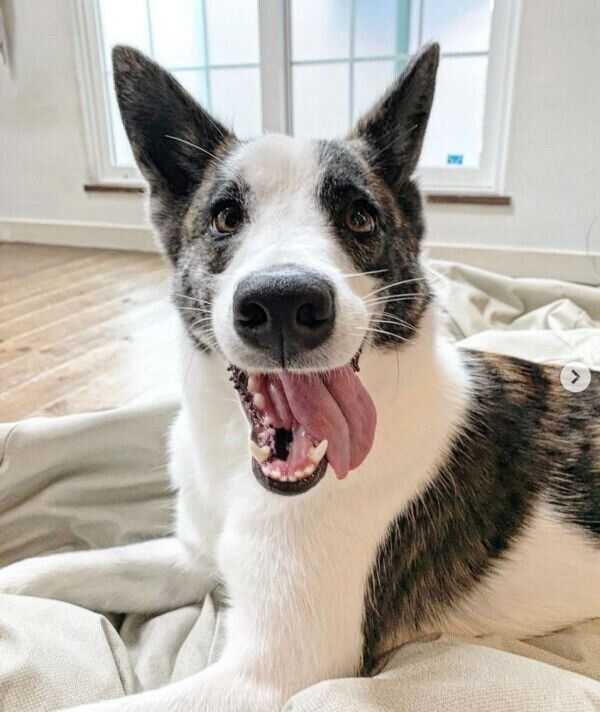 笑顔のはるちゃん