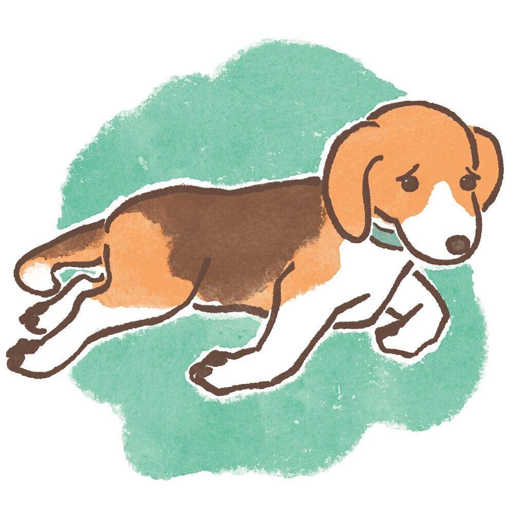 イラスト／太田麻衣子