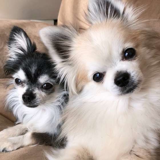 仲良しだね〜♪