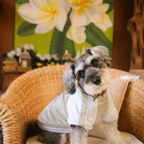 Mixのあくあくん♪