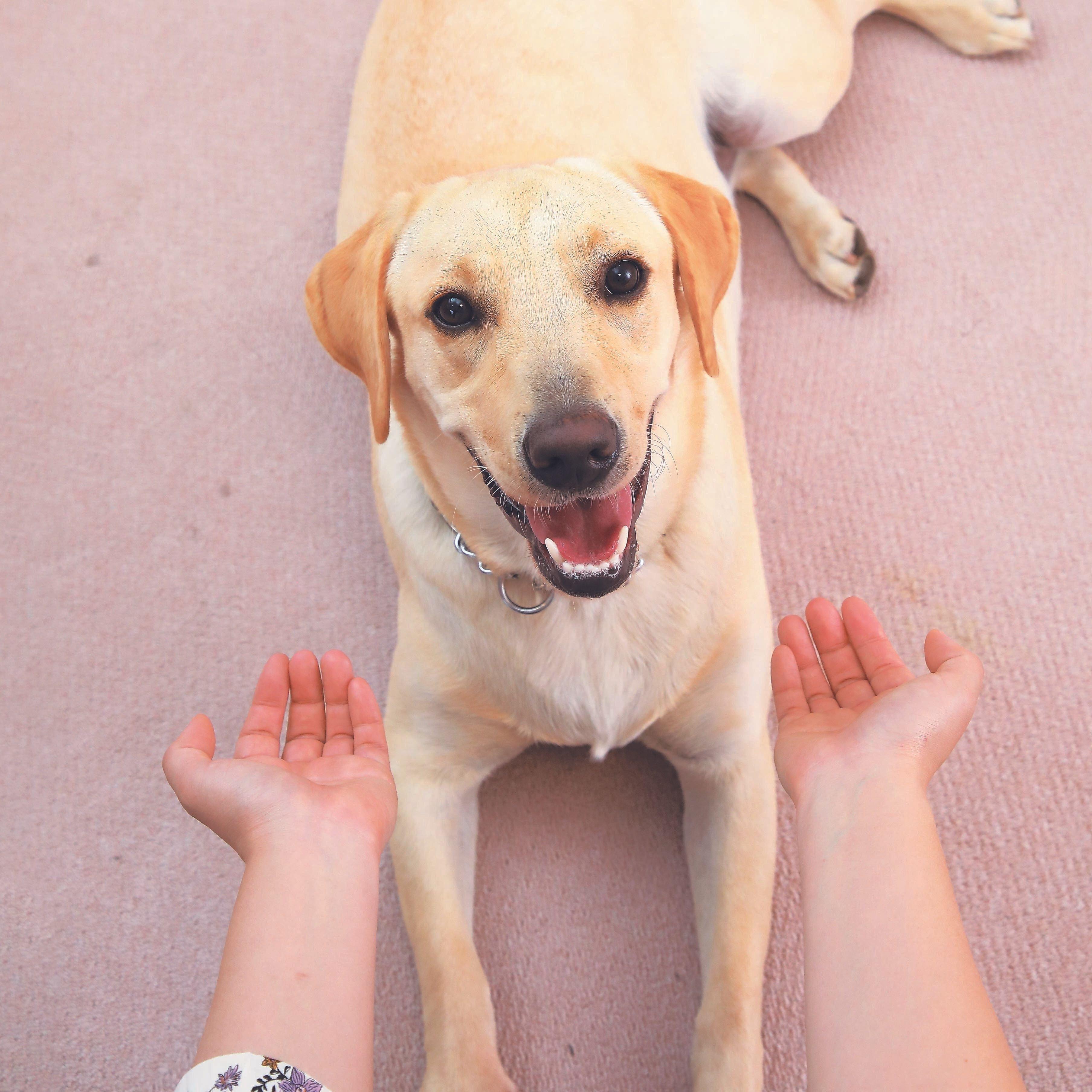 撮影／尾﨑たまき