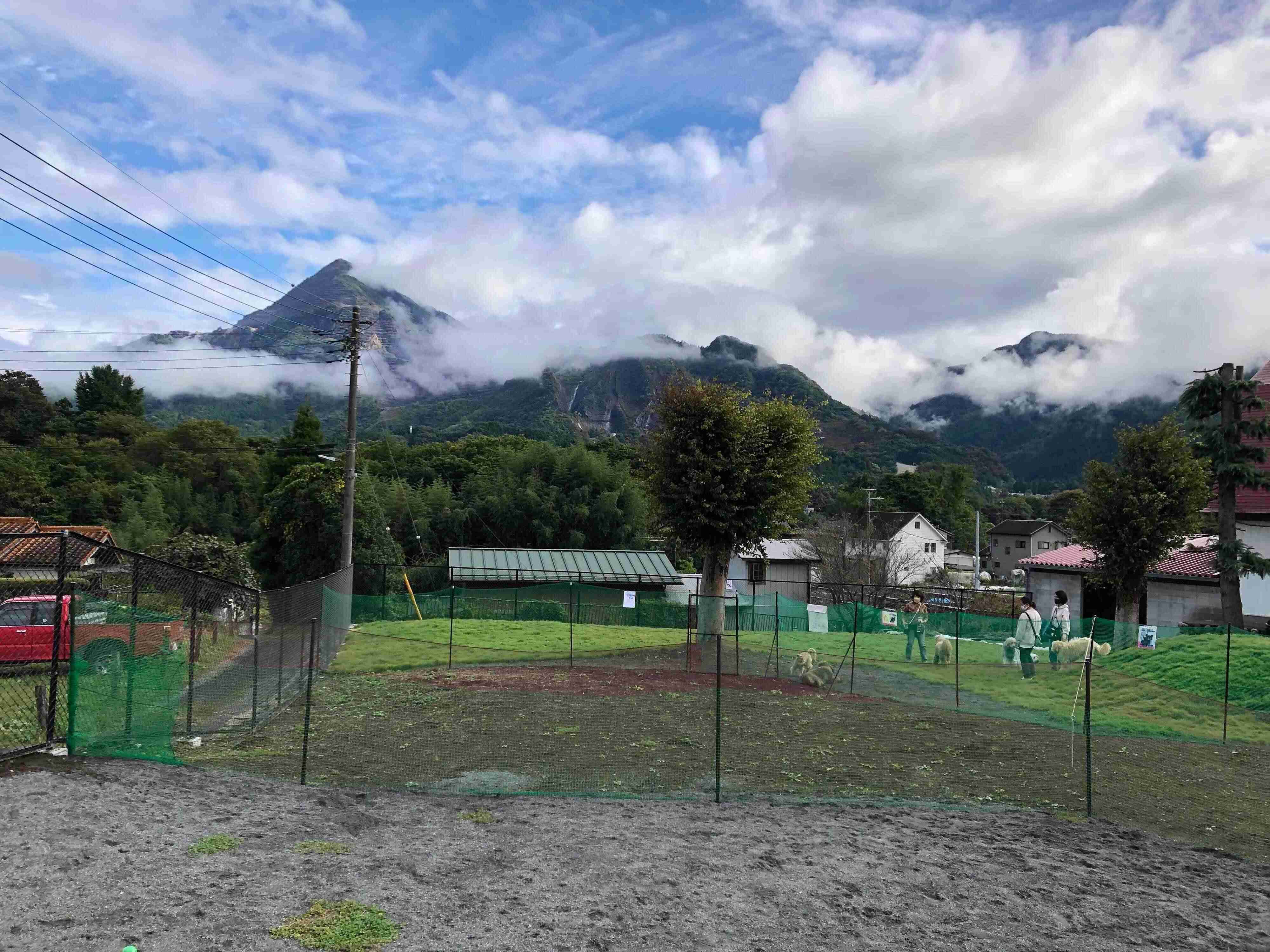 山が望めるドッグラン