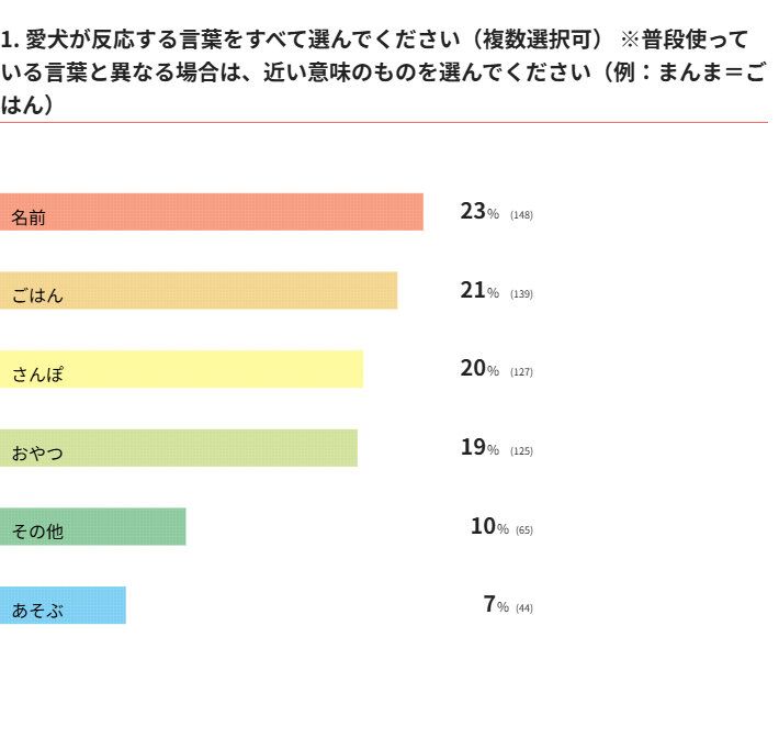 愛犬が反応する言葉は？