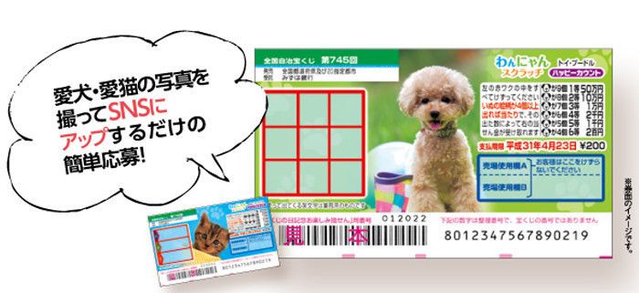 愛犬が券面に登場!? 写真投稿キャンペーンに応募しよう!