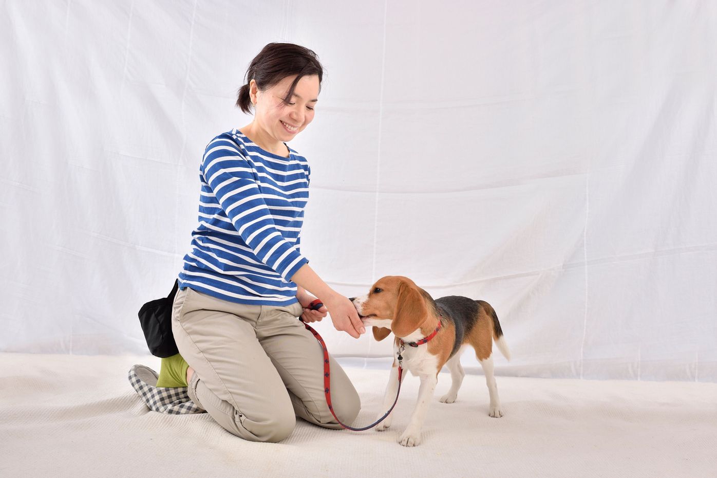 犬と目を合わせるだけじゃない アイコンタクト のすごいメリット いぬのきもちweb Magazine 犬と目を合わせるだけじゃない アイコンタクト のすごいメリット いぬのきもちweb Magazine
