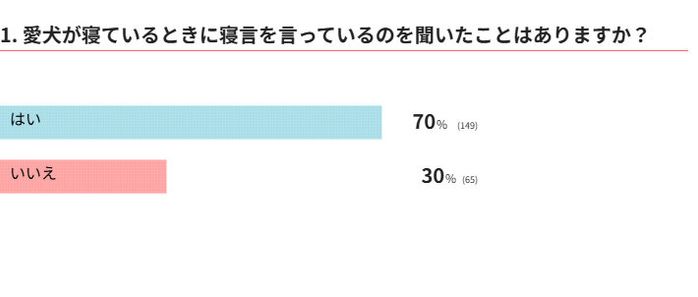 犬の寝言を聞いたことはありますか?