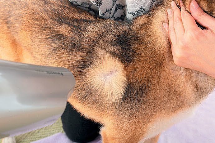 乾いている証拠