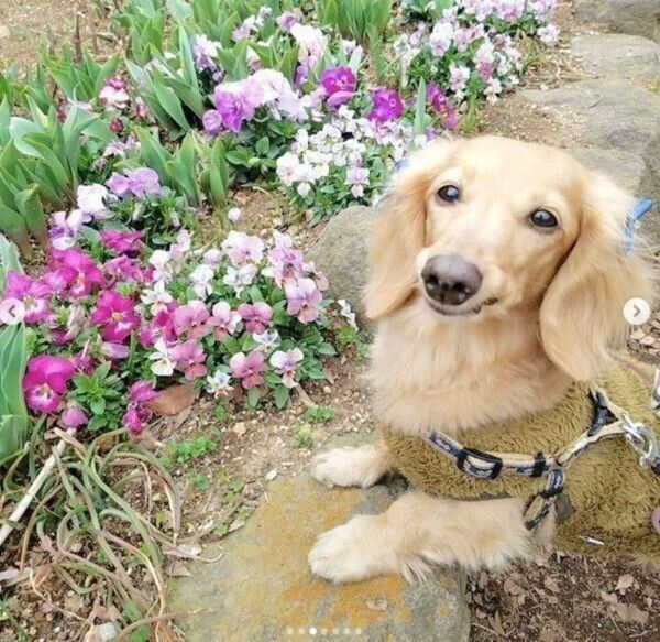 お出かけを楽しむ伶音ちゃん